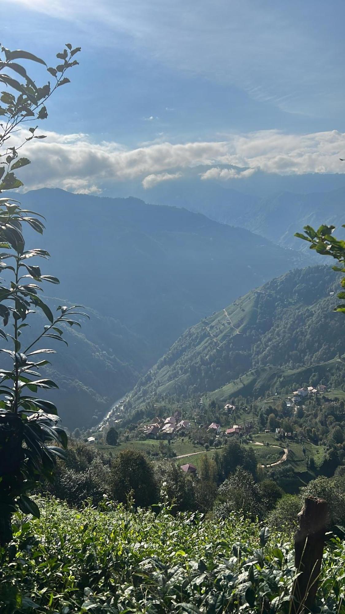 Pera Bungalov Ardeşen Exteriör bild